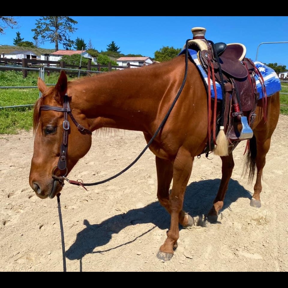 Meet your Posher, Alexis